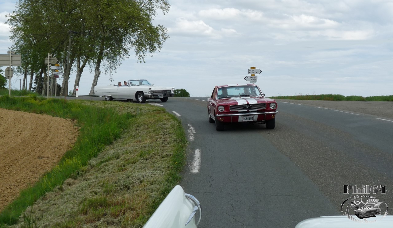 P1120037 [fili1280].JPG