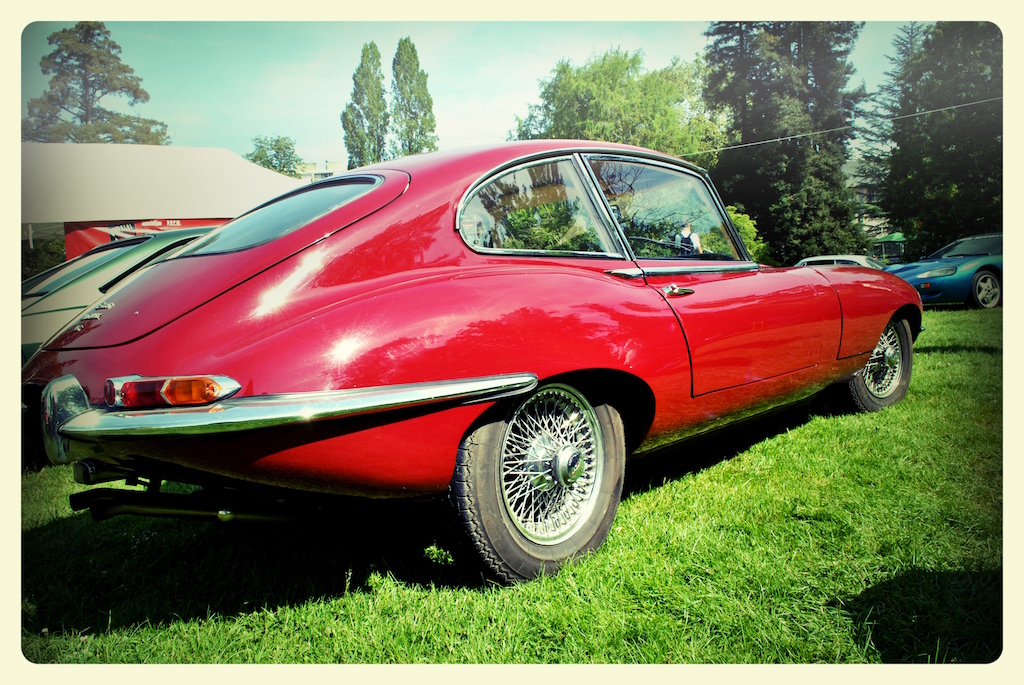 DSC_0064_Fotor.jpg