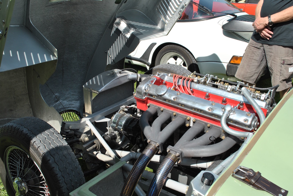 DSC_0066.jpg