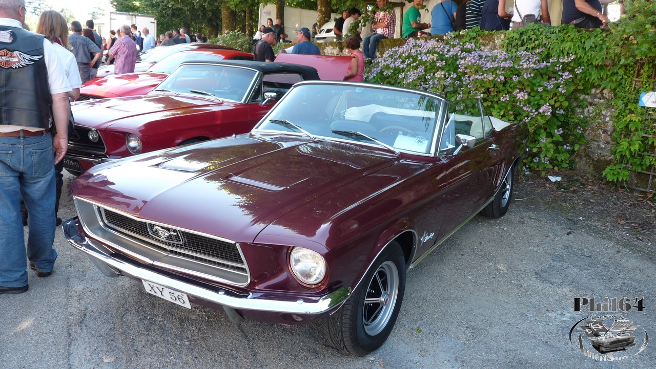 P1130281 [fili1280].JPG