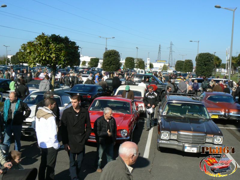 expo-printemps-6-03-2011 (63) [fili].JPG