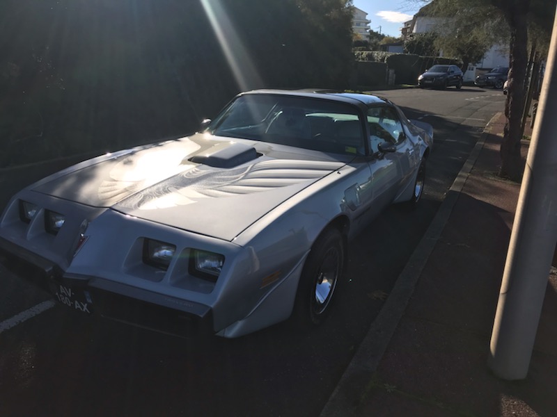 SAVE_20181203_101212.jpeg