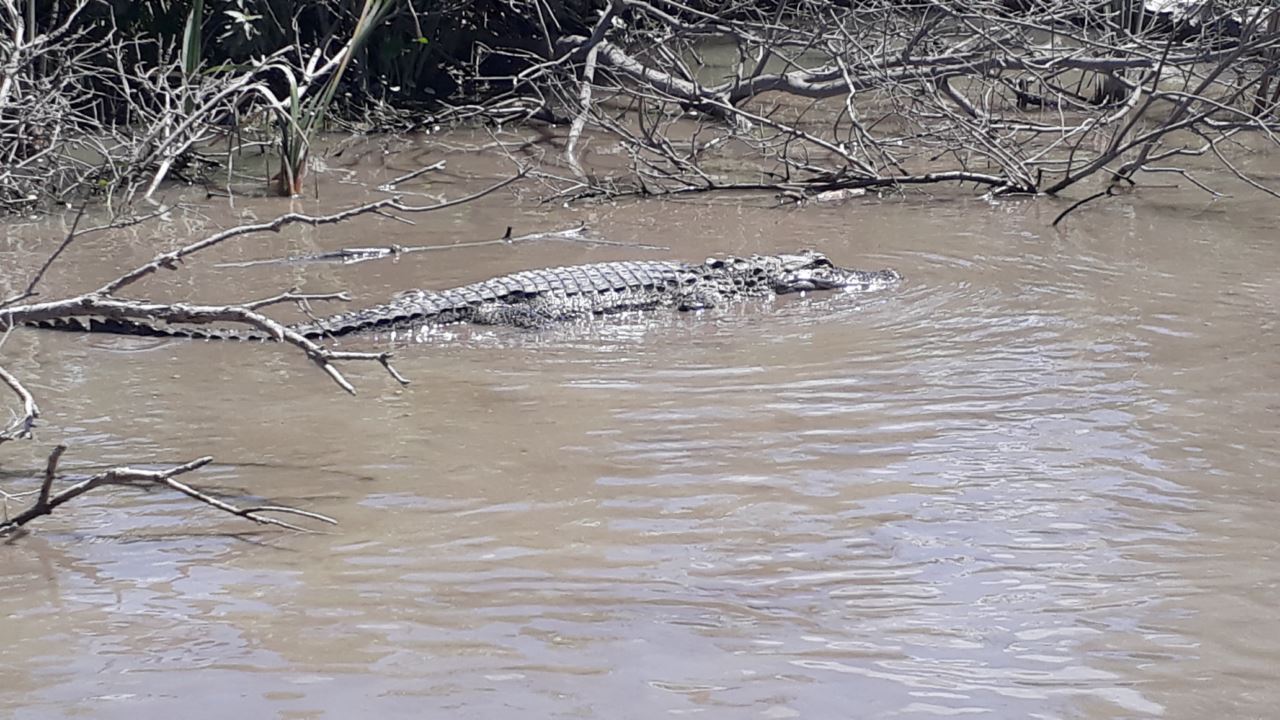 20190421_113246.jpg