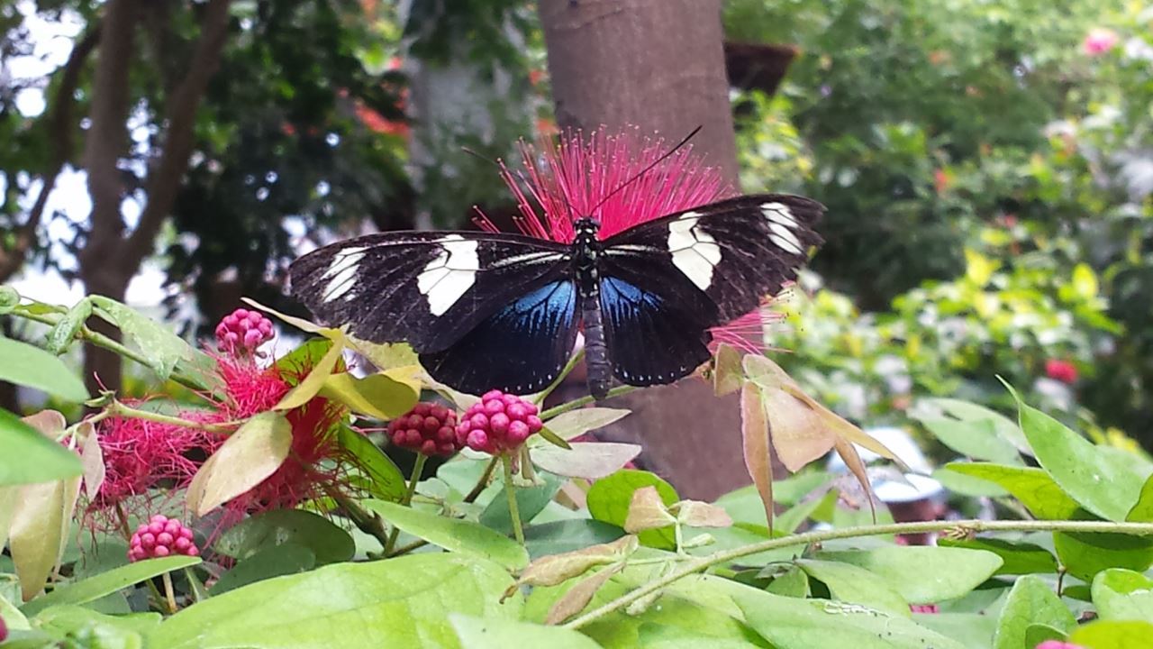 20160525_123701.jpg