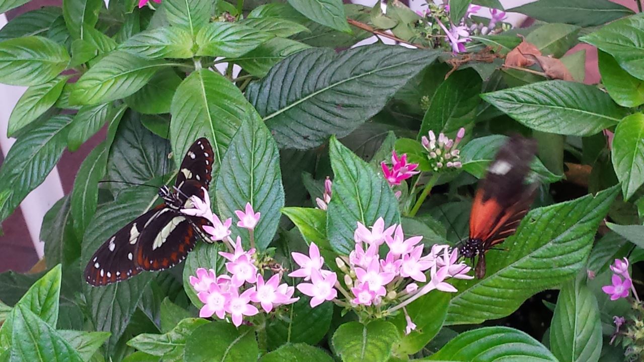 20160525_123730.jpg