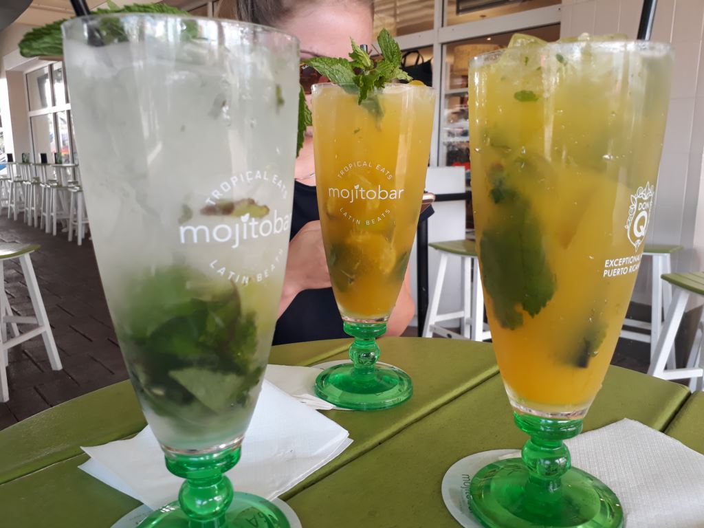 20190423_112433.jpg