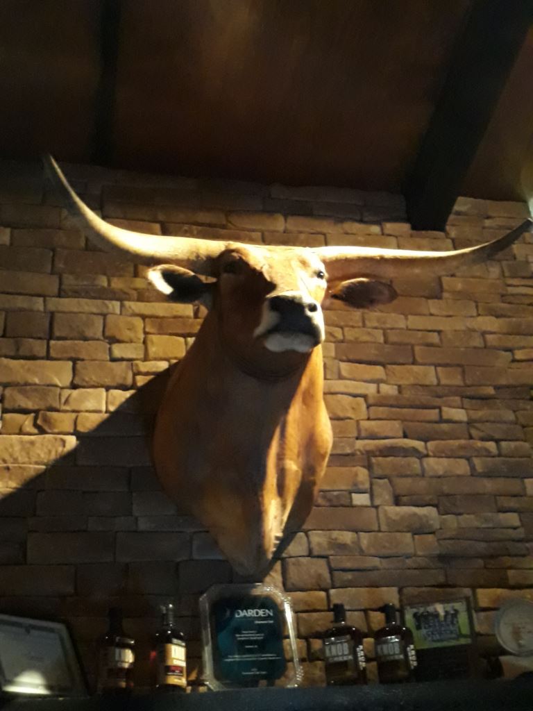 20190416_201529.jpg