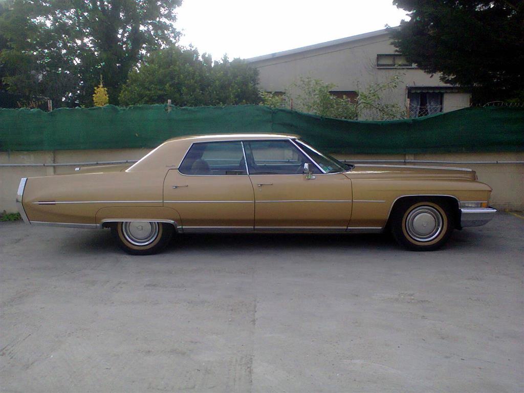 Photo0876 (Medium).jpg