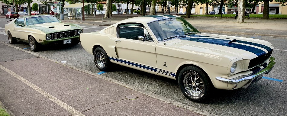 2 Mustang.jpg