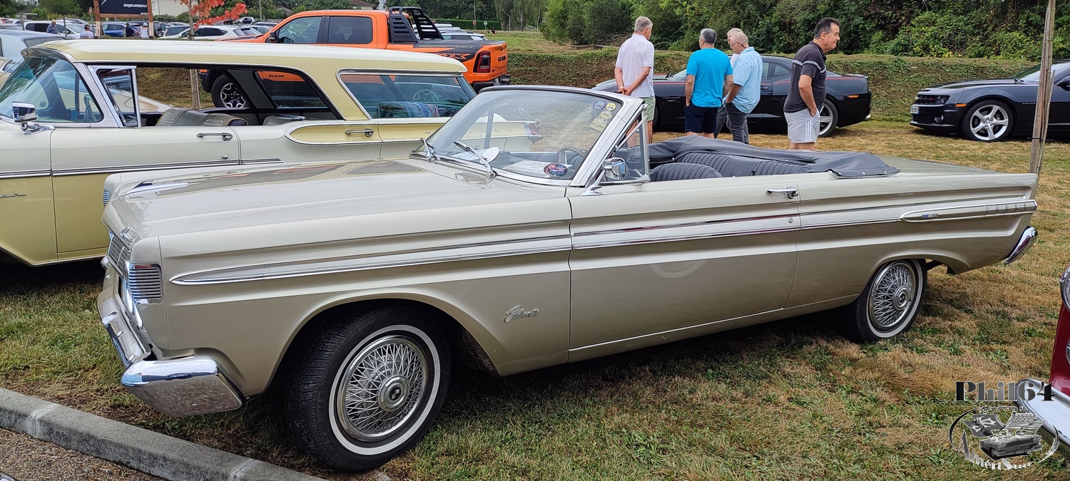 IMG_20240825_104053 [1500 fili].jpg