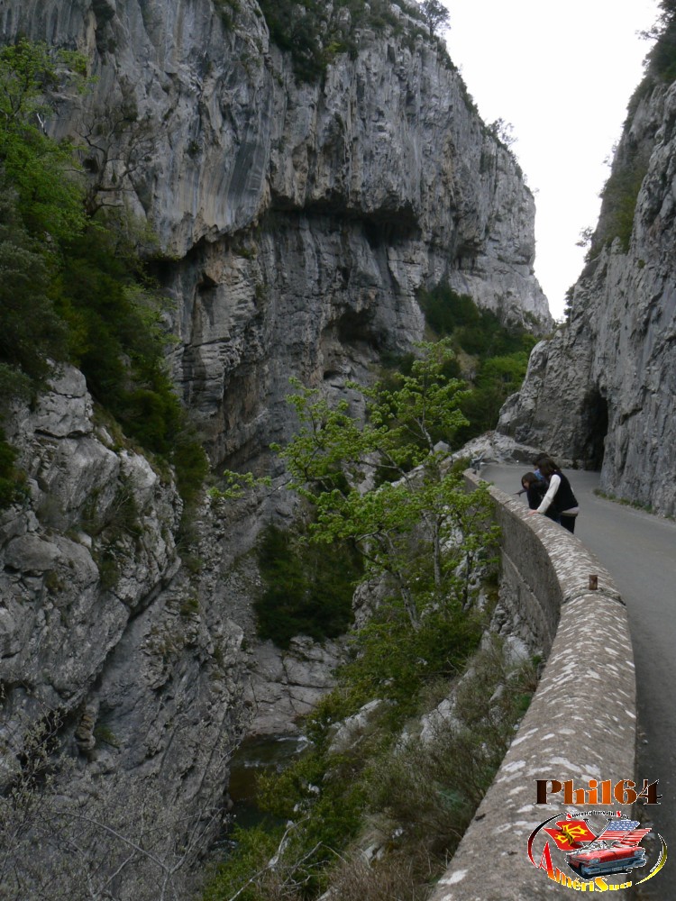 P1110585 [fili1000-v].JPG