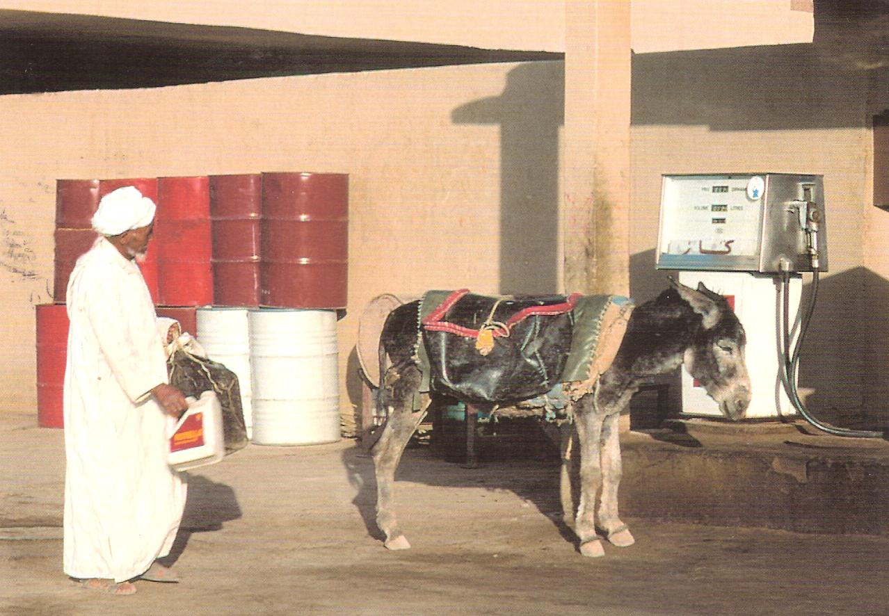 cart1rav.jpg