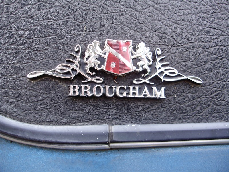 last chrys 29.0810 007.JPG