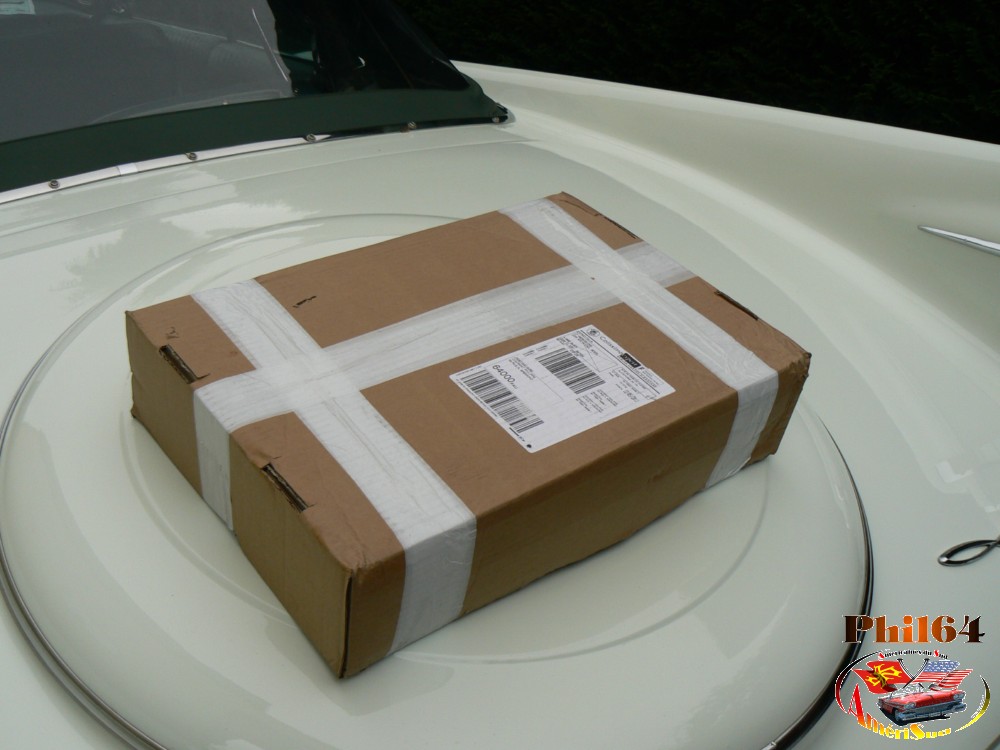 P1110693 [fili1000].JPG