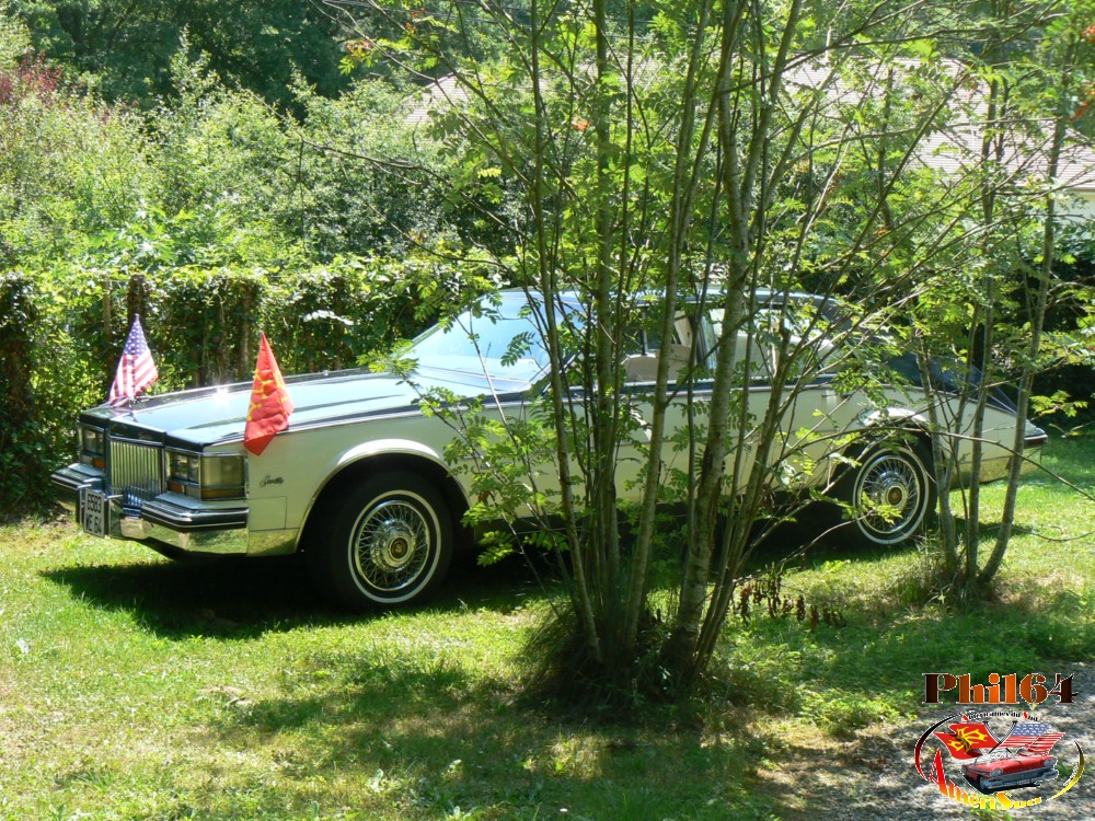 P1120394 [fili1000].JPG