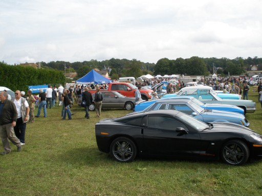 P9040245 (512 x 384).jpg