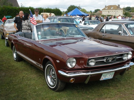 P9040261 (512 x 384).jpg