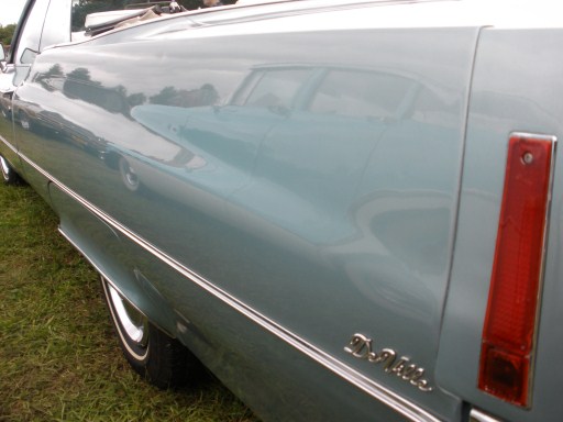 P9040246 (512 x 384).jpg