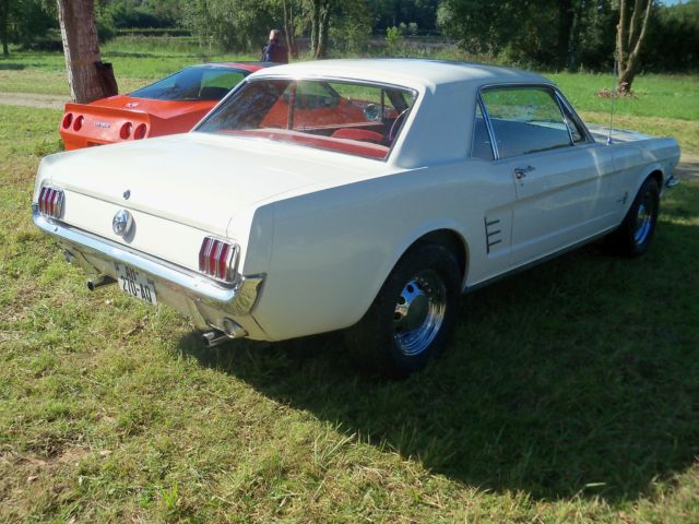 100_1234 [640x480].jpg
