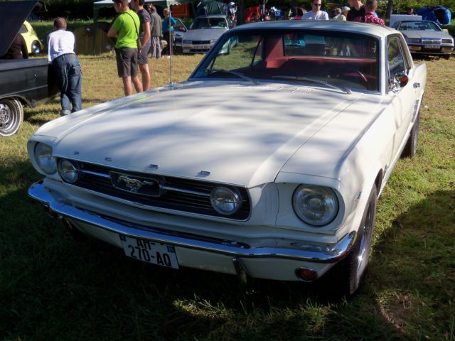 100_1235 [640x480].jpg