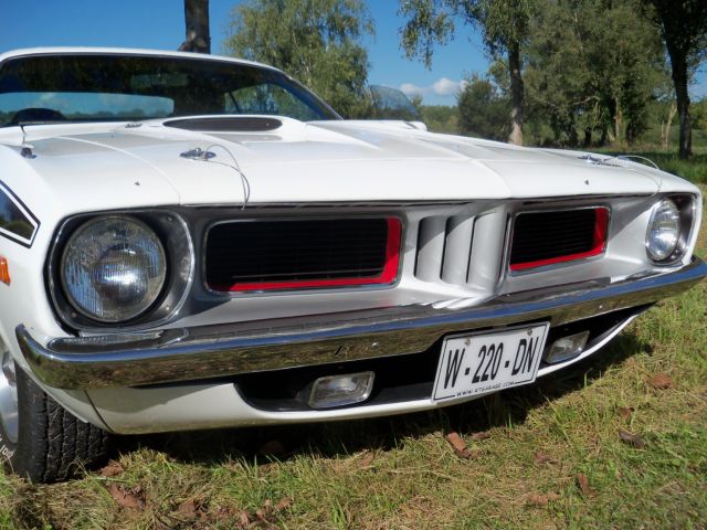 100_1243 [640x480].jpg