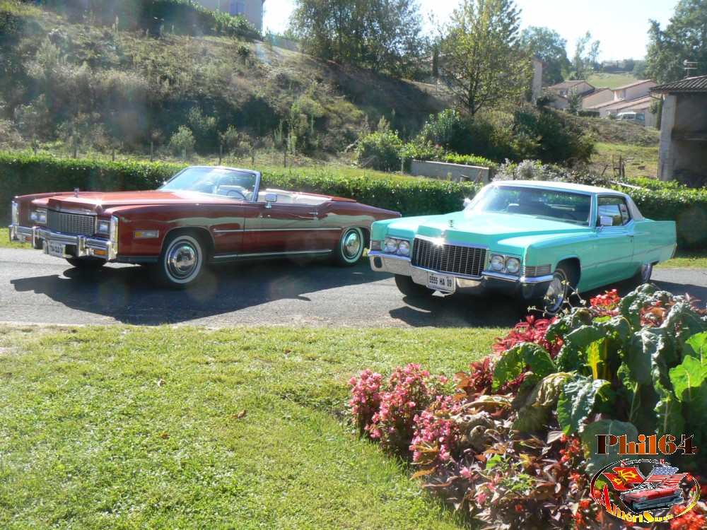 P1130530 [fili1000].JPG