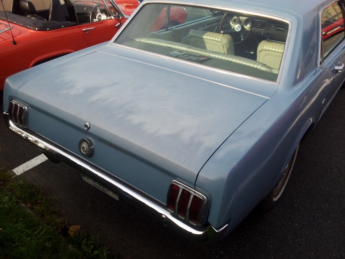 mustang 21.jpg