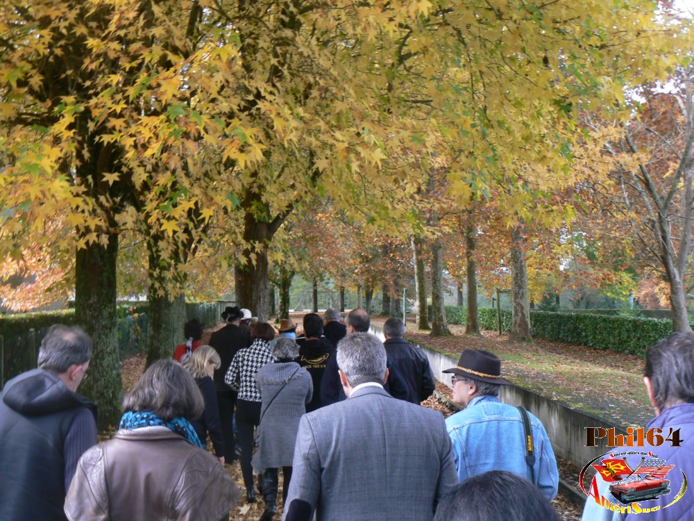 P1130791 [fili1000].JPG