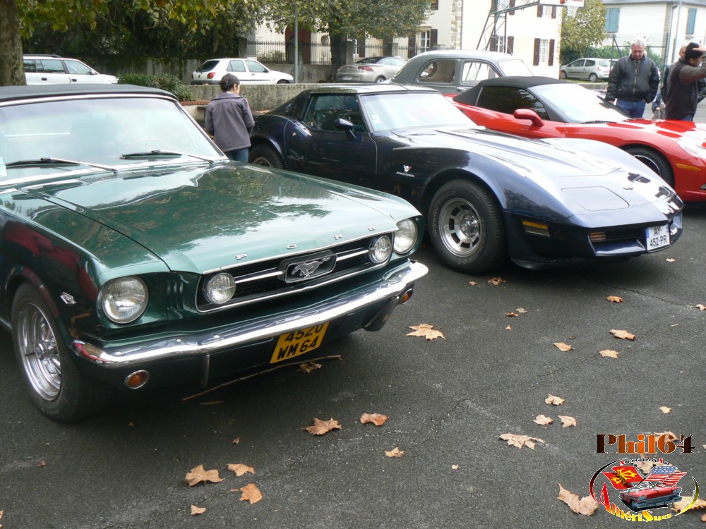 P1130801 [fili1000].JPG