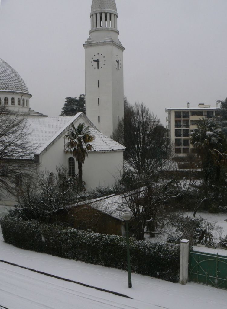 P1140088 [1024x768].JPG