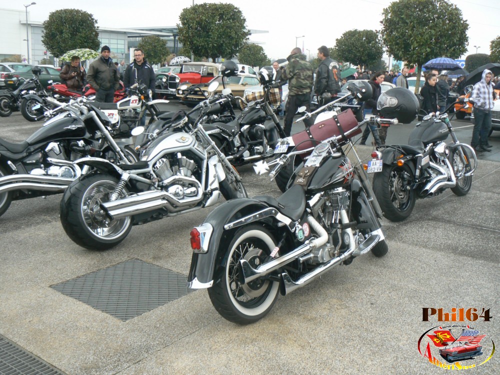 P1140272 [fili1000].JPG