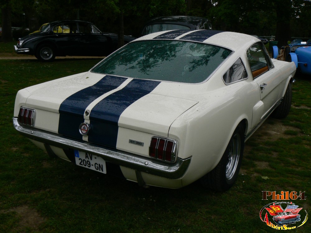 P1140766 [fili1000].JPG