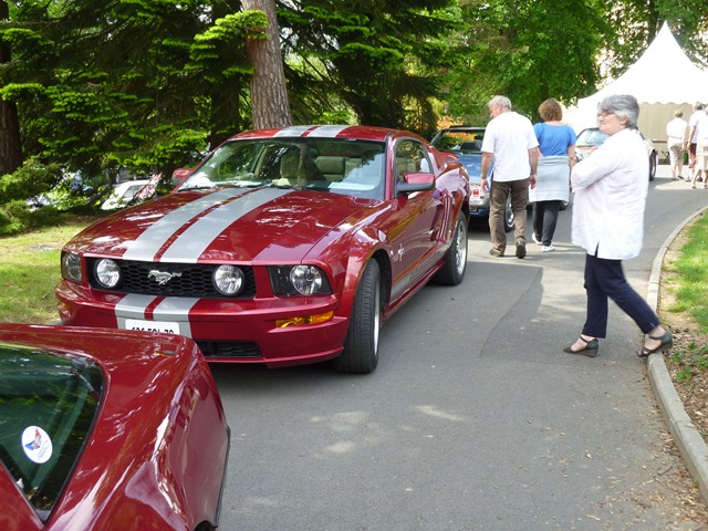 029 [640x480].JPG