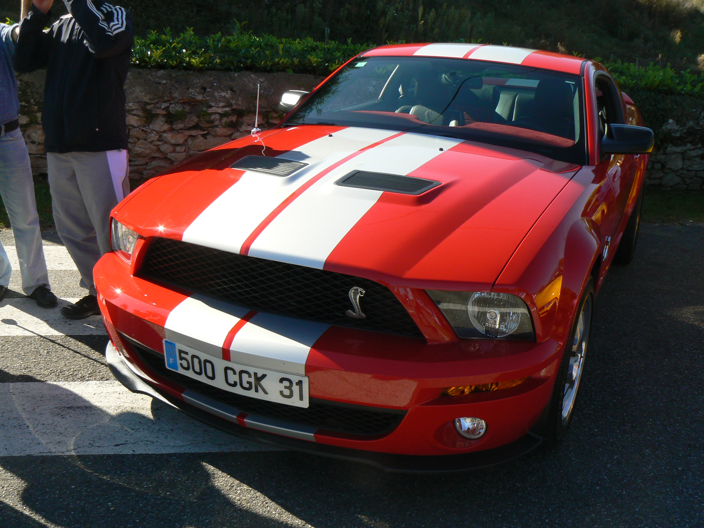 P1130511.JPG