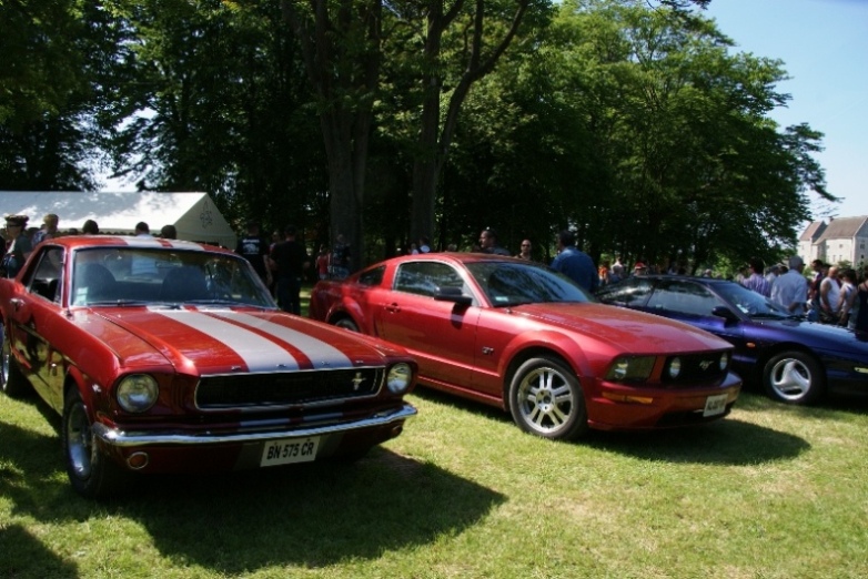 DSC06422.JPG