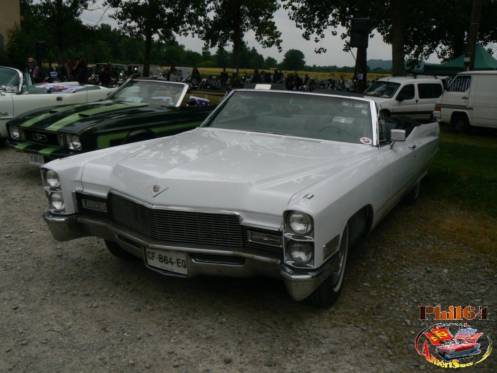 P1150896 [fili1000].JPG