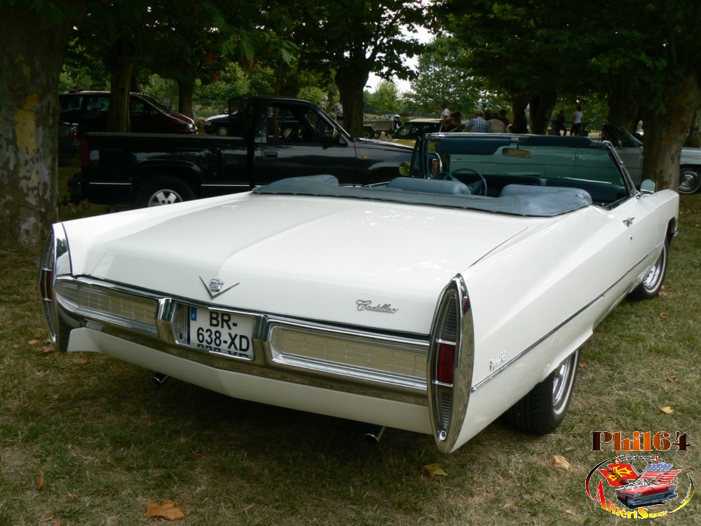 P1170682 [fili1000].JPG