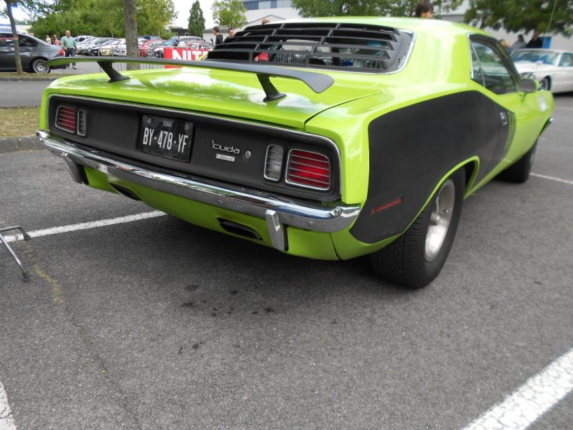 DSCN0510.JPG