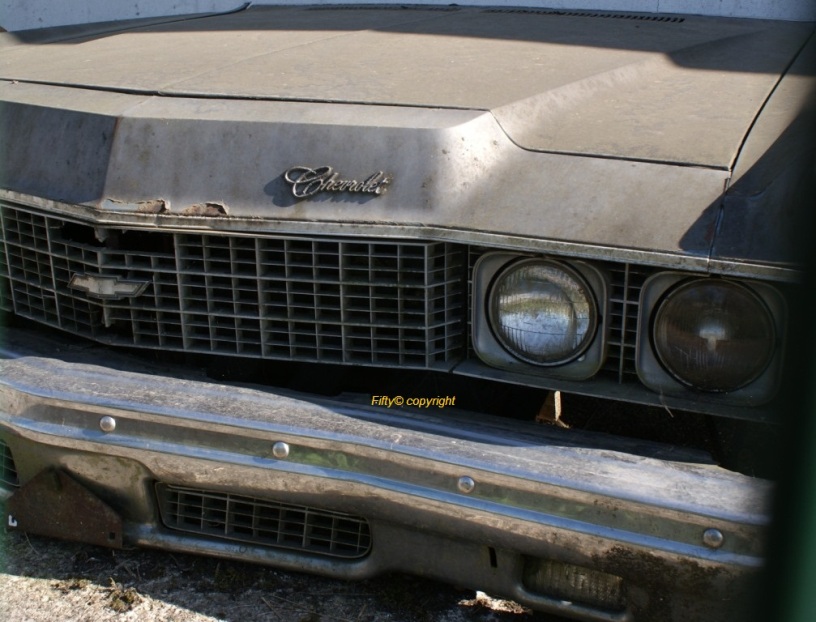 casse  2009 (15).JPG