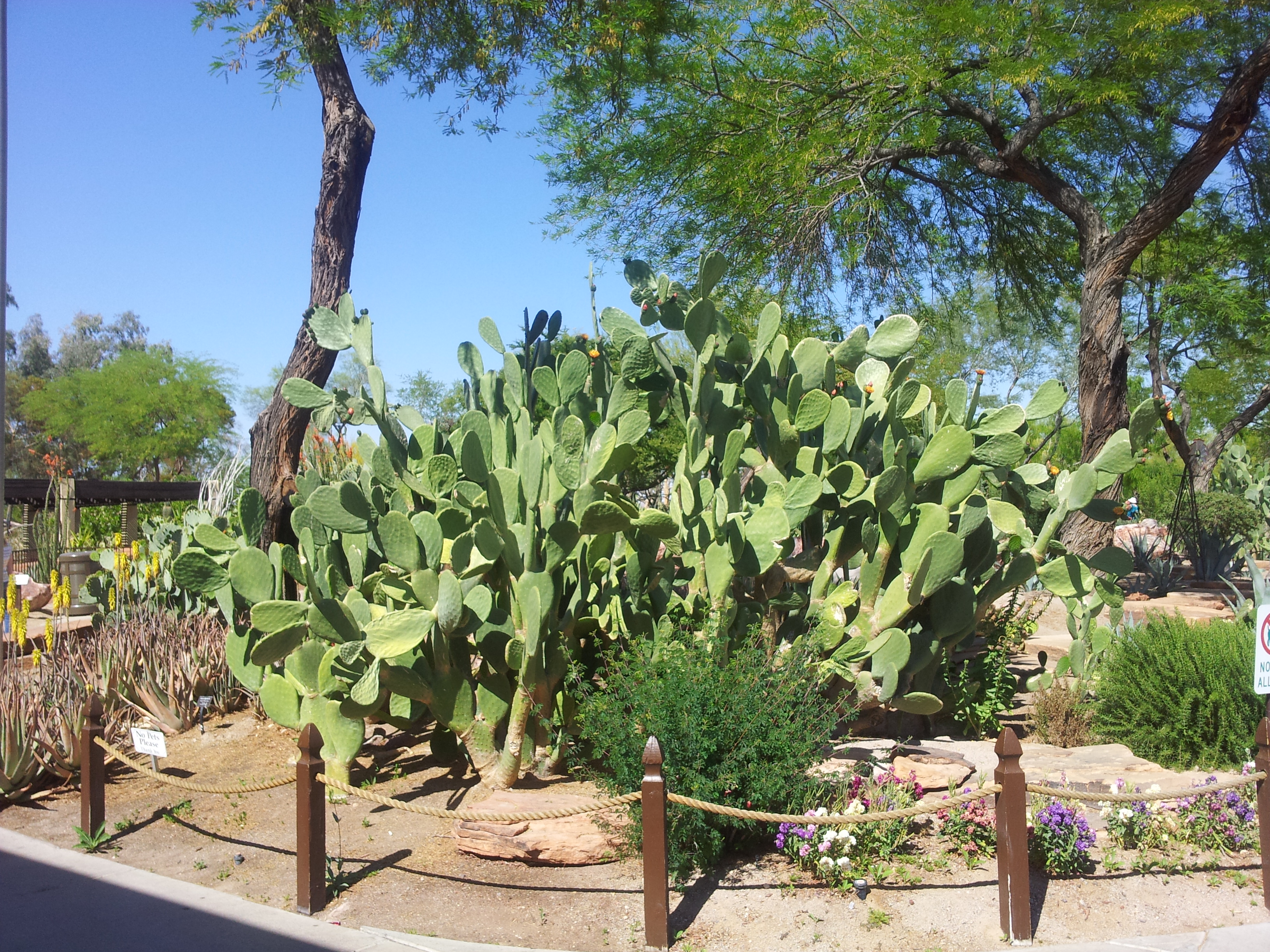 20130425_151411.jpg
