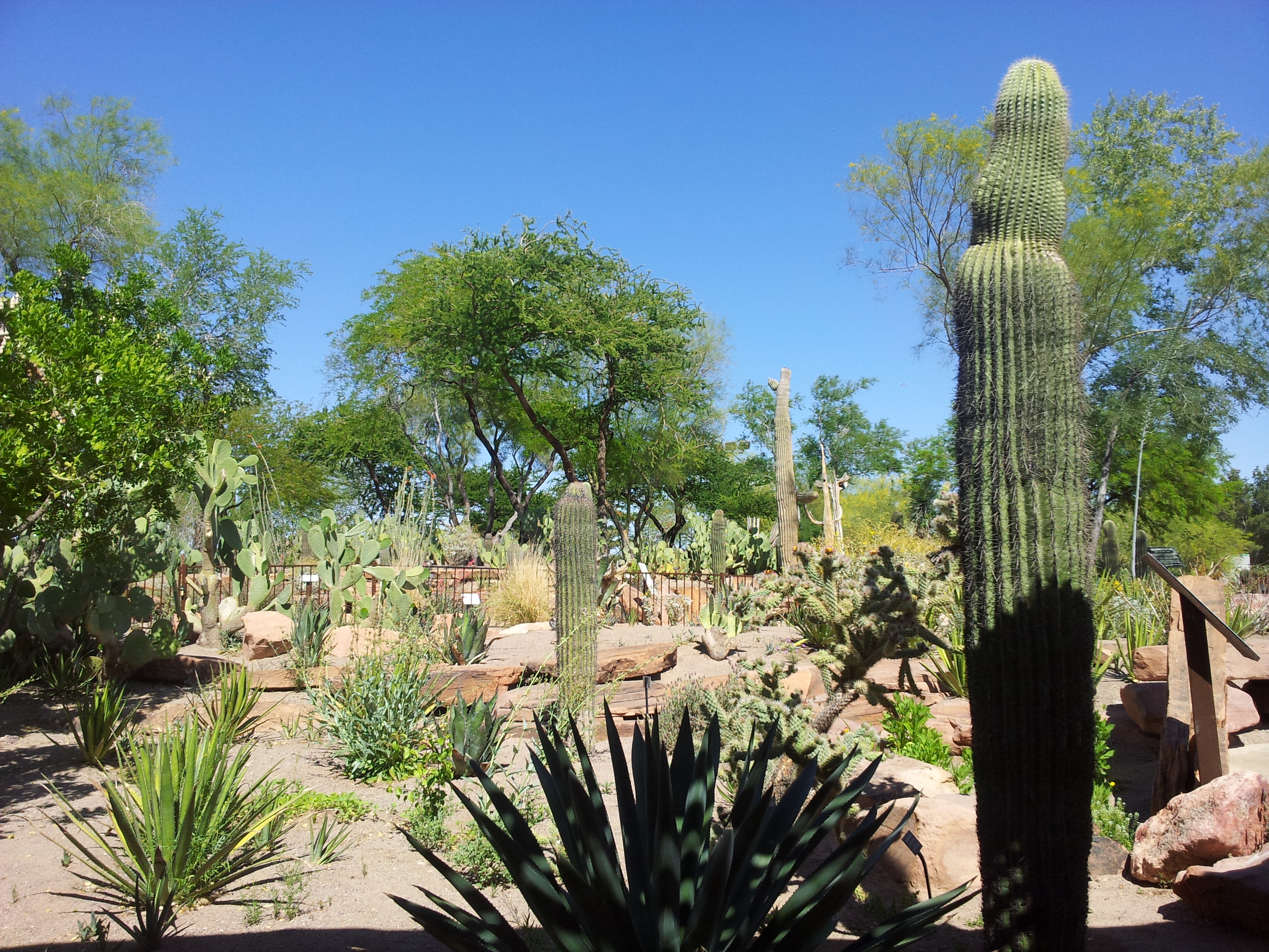 20130425_150348.jpg