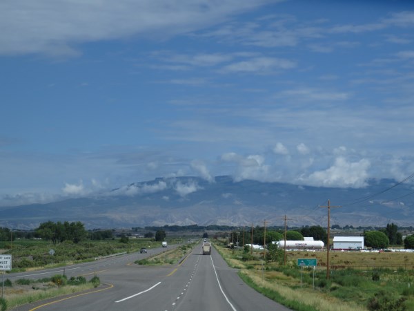 IMG_4882.jpg
