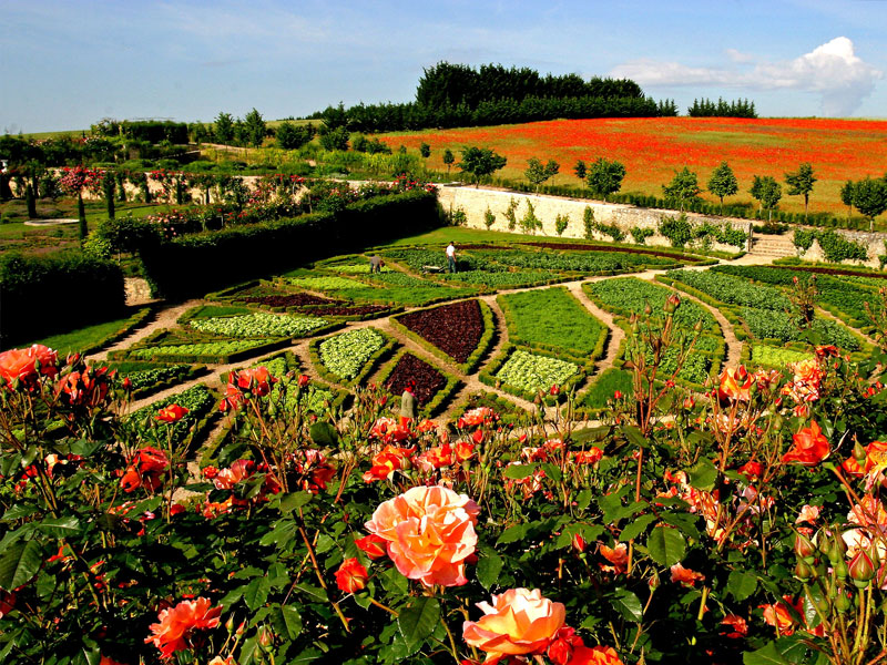 jardins02.jpg