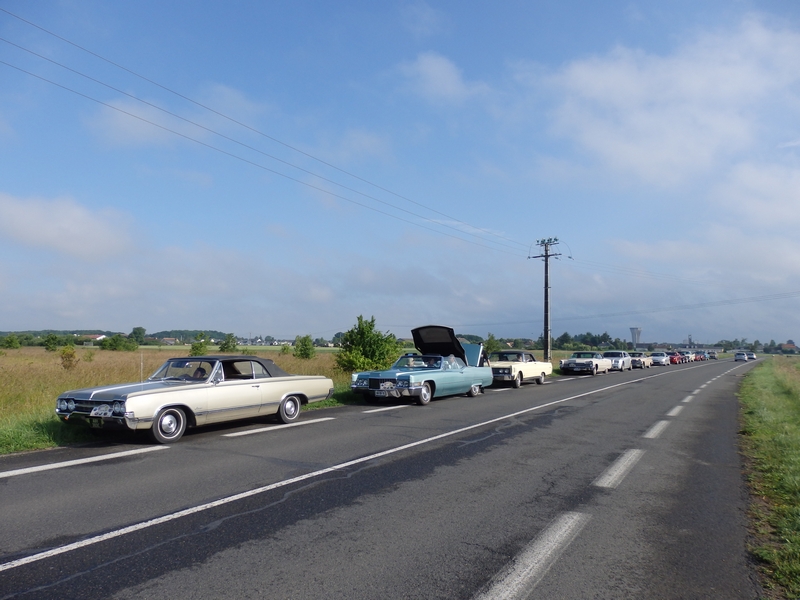 crui2014_019.jpg