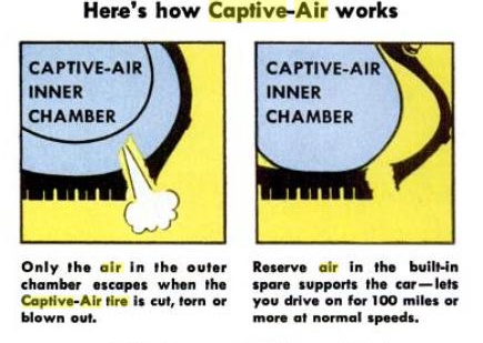 captive3.jpg