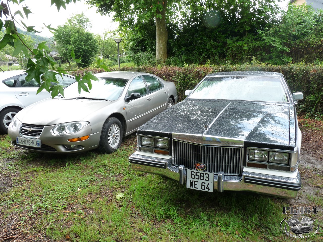 P1050439 [fili].JPG