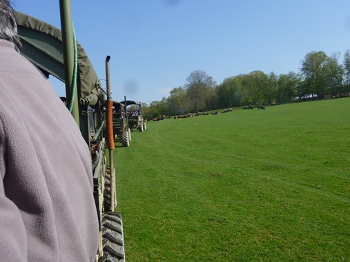 049 [640x480].JPG
