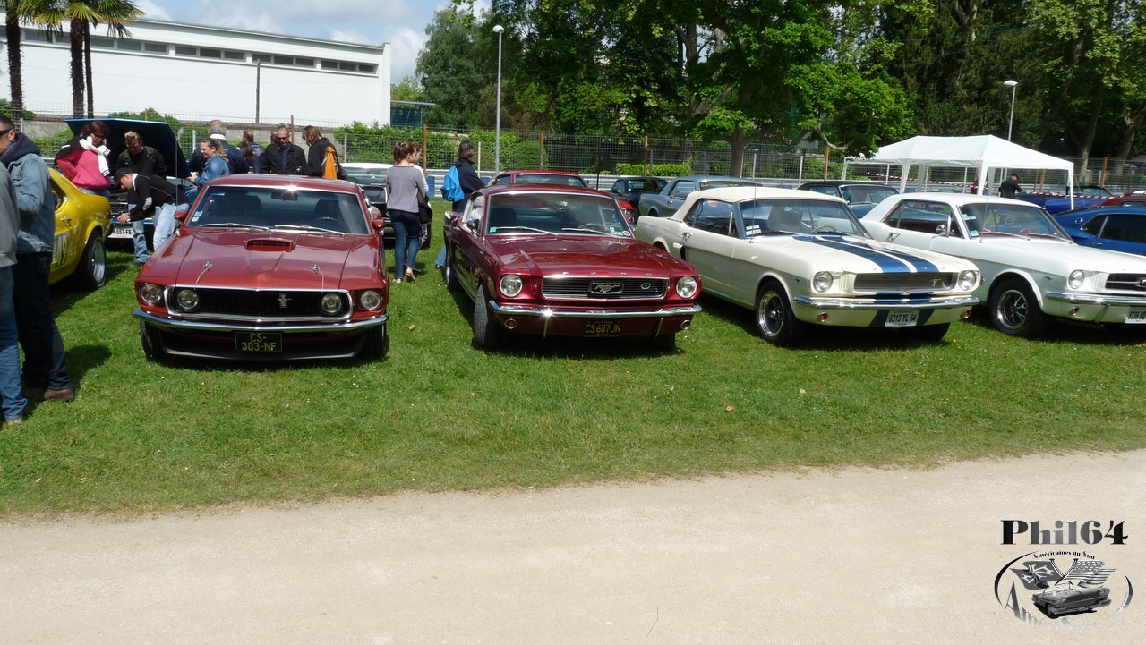 P1090113 [fili1280].JPG