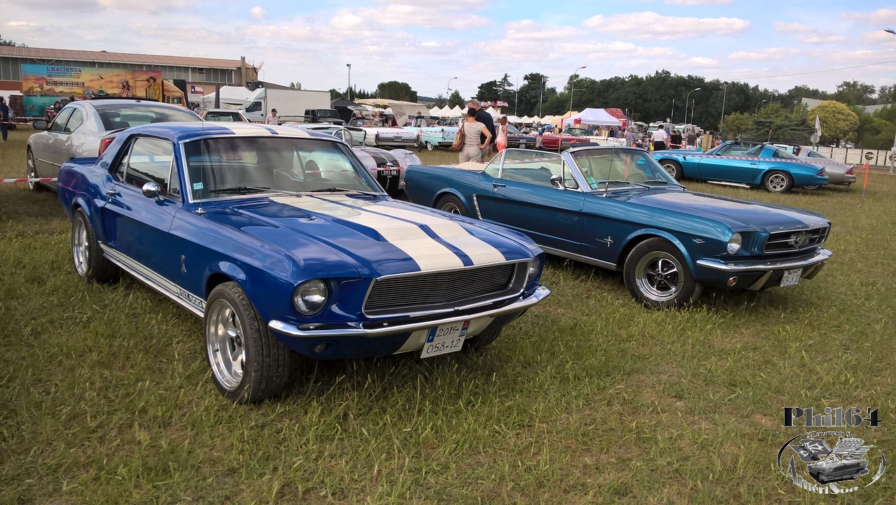 WP_20150712_18_04_44_Pro [fili1280].jpg