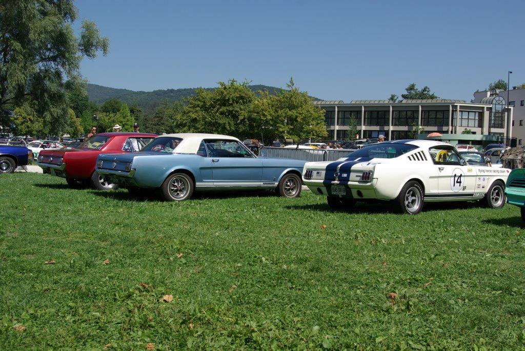 IMGP4102.jpg